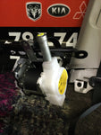 Cinturón Der Del Toyota Rav4 19-23