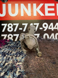 Starter Hyundai Accent 13-17