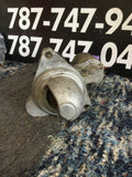 Starter Chevrolet Trailblazer 02-03