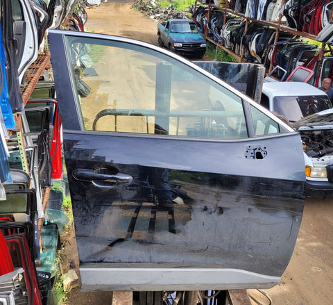 Puerta delantera der Toyota Rav4 19-22